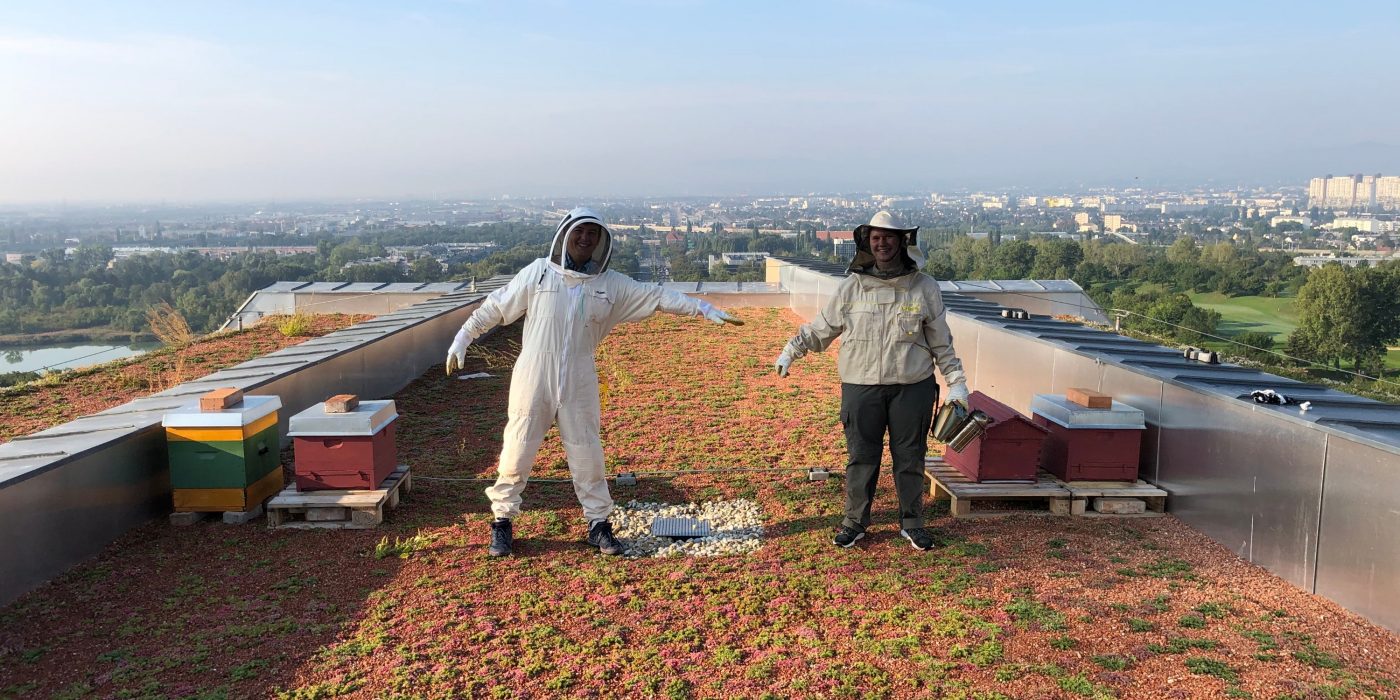 Pipelife's beekeepers Kathrin and David standing next to the hives | Pipelife