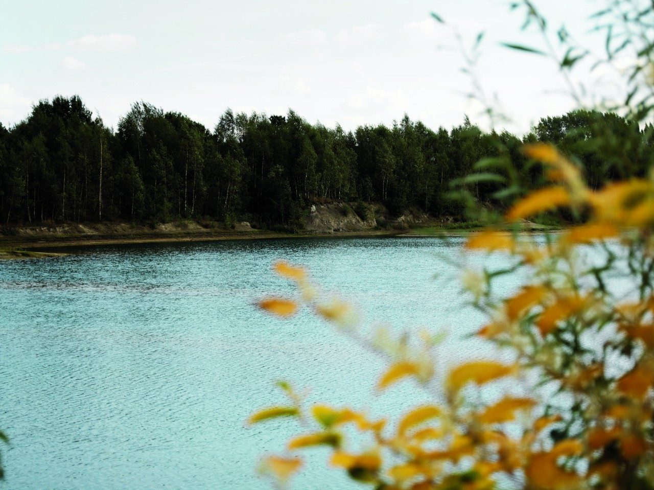 New nature because of clay extraction