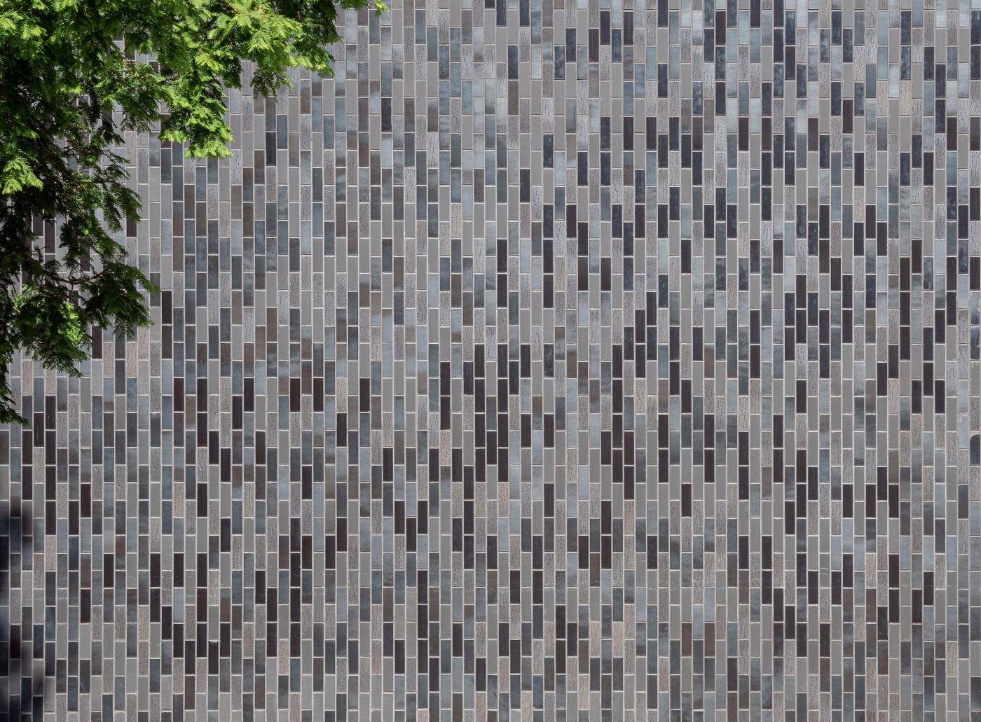 Weavers Quay - Corium (Taylor Maxwell)