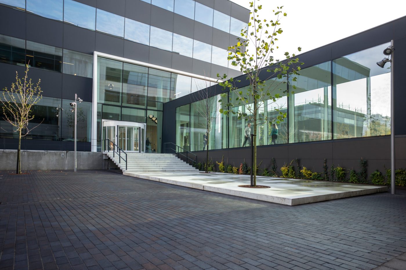 Novo Nordisk, Paver, Bretagne