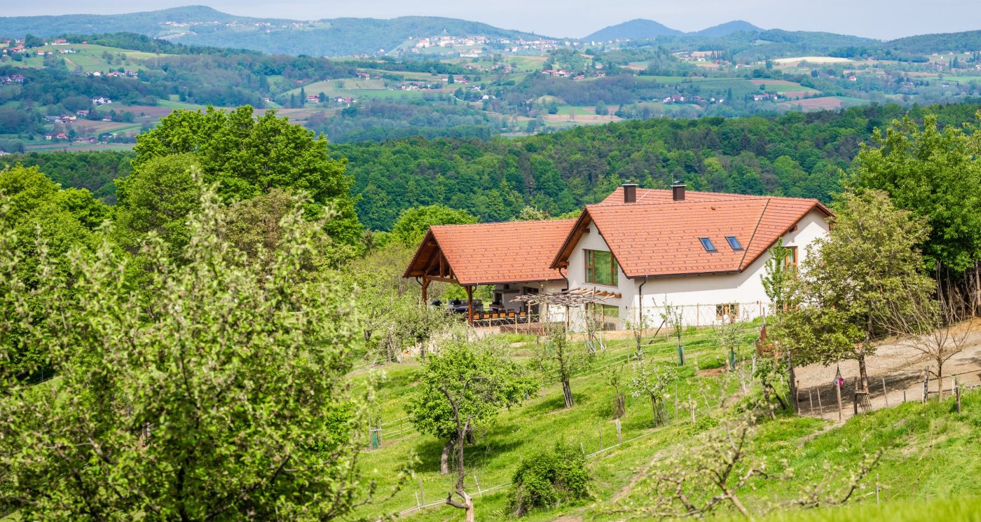 Enostanovanjska hiša Posestvo Monstera