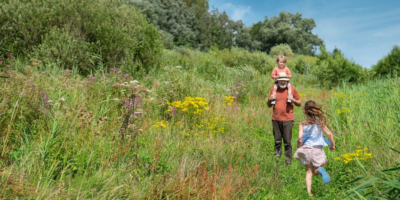 A man and two children on a flower meadow